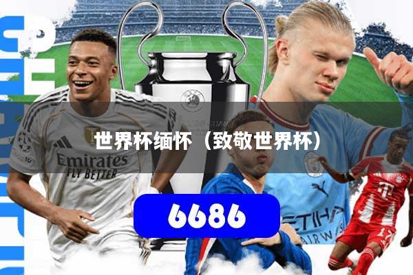 世界杯缅怀（致敬世界杯）